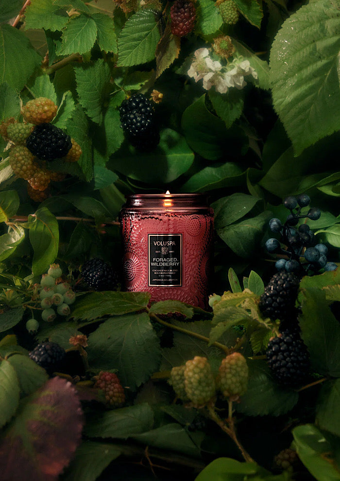 VOLUSPA Small Jar Candle Foraged Wildberry